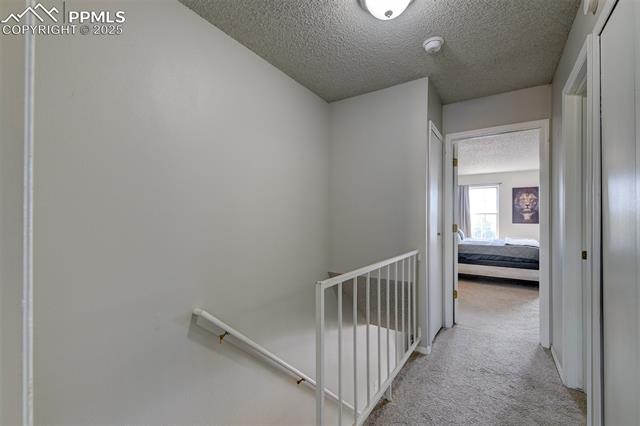 4223 Charleston Drive