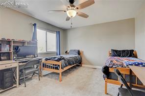 5220 Saddle Drive