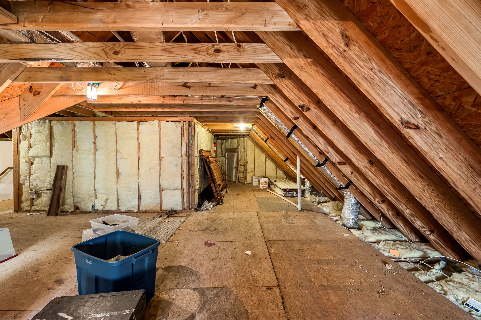 3516 Refuge Trl