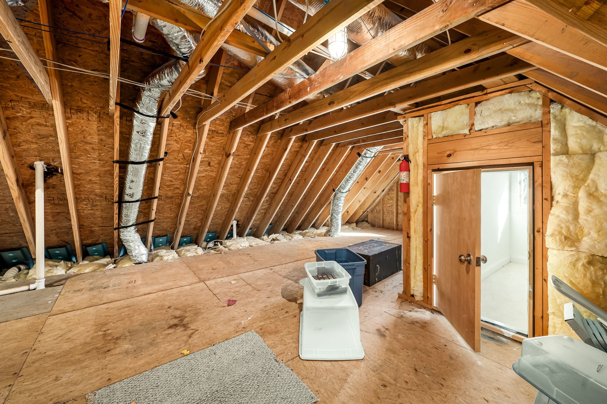 3516 Refuge Trl