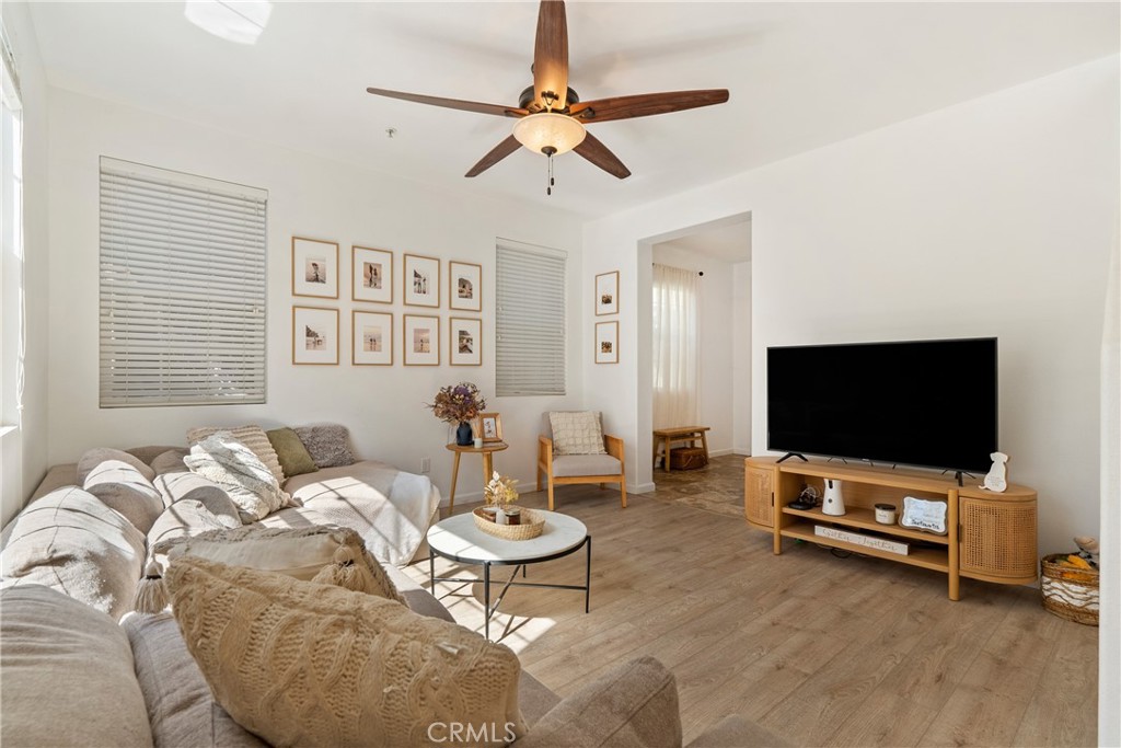 11619 Cardelina