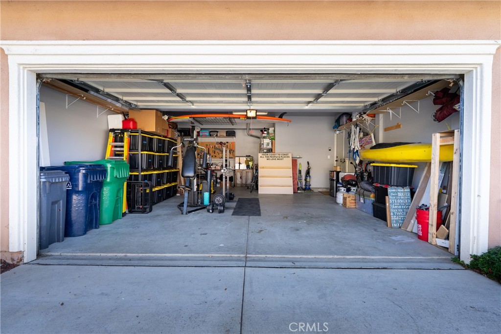 11619 Cardelina