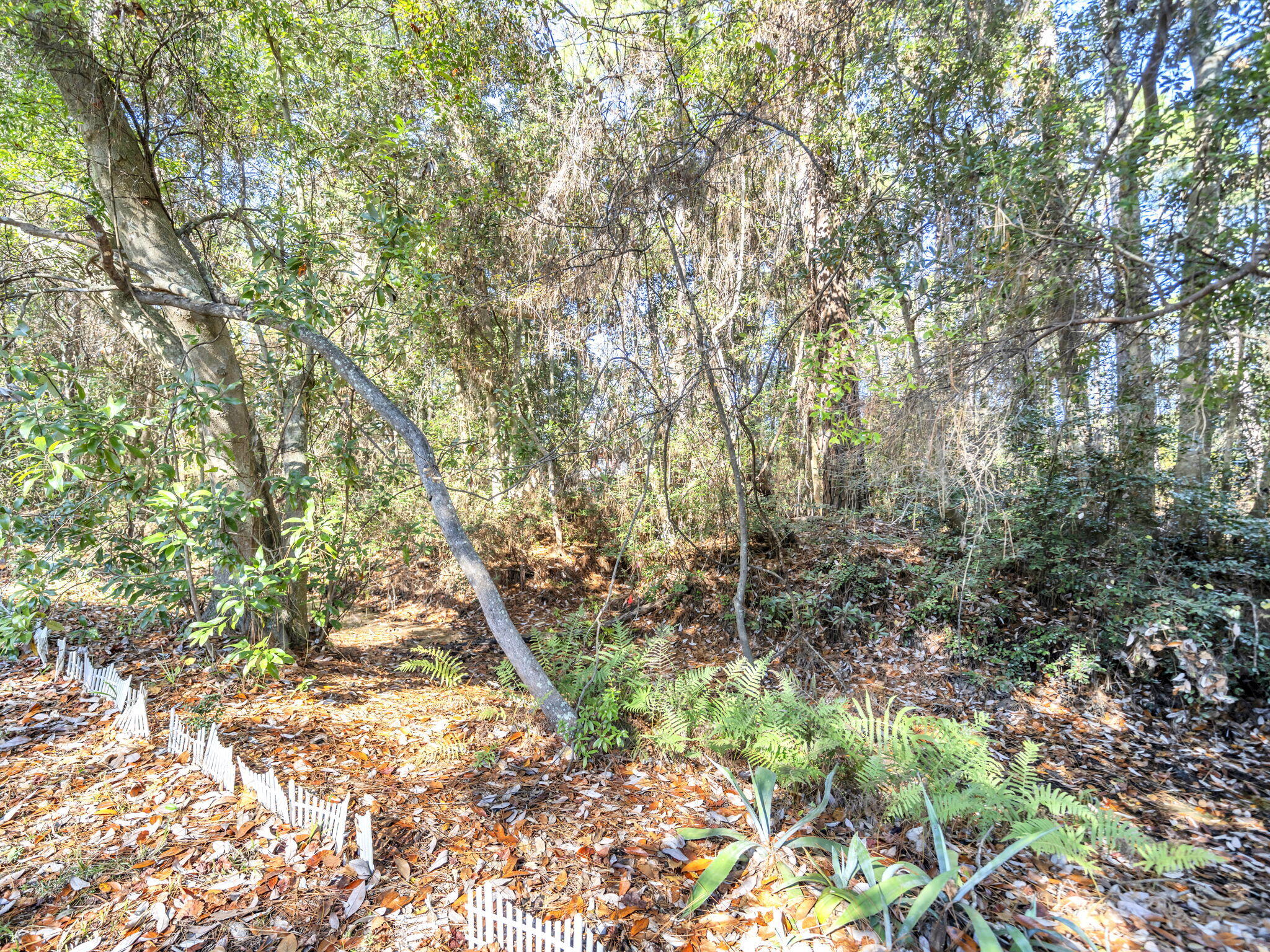 9028 Larker Woods Road