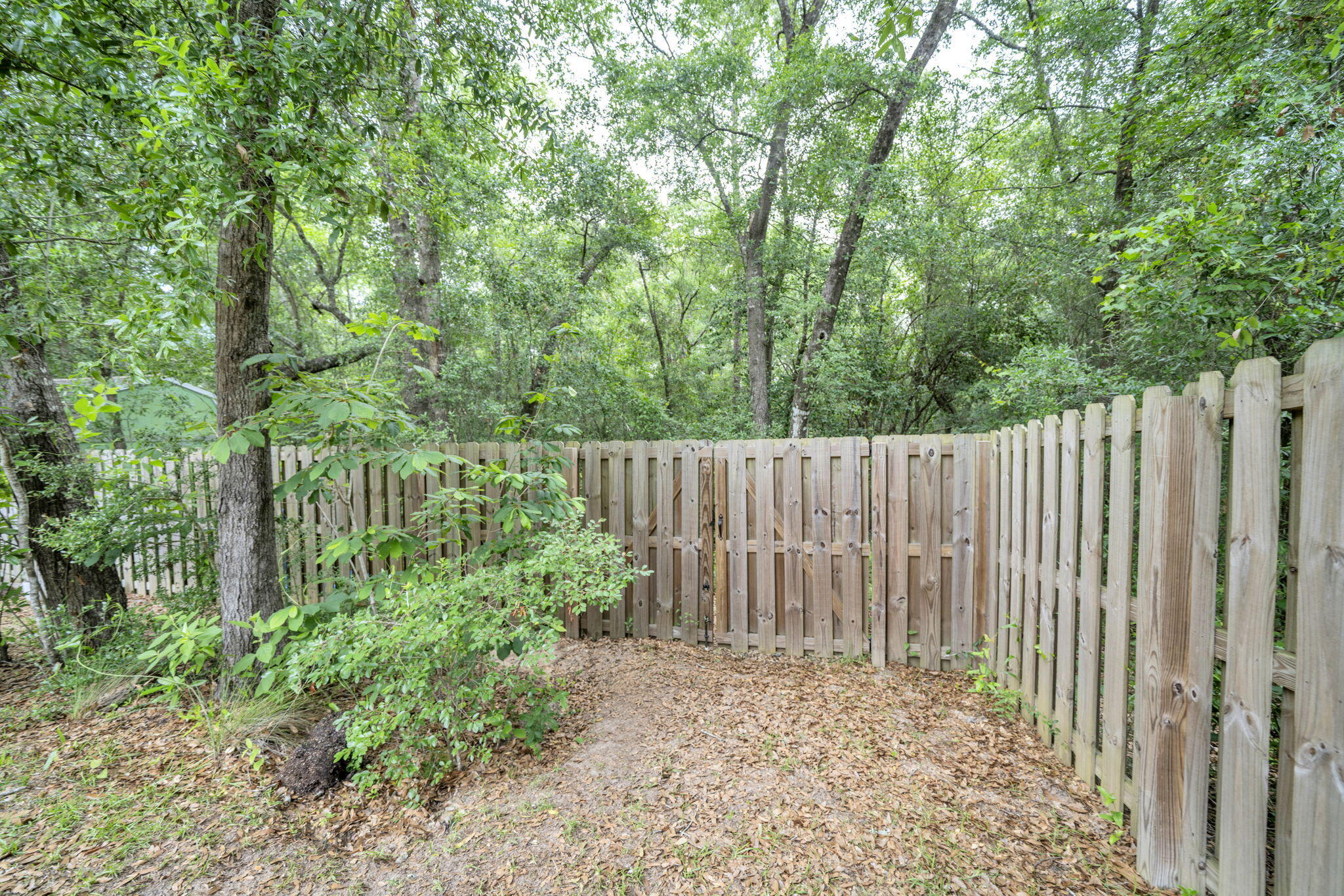 434 Mango Lane