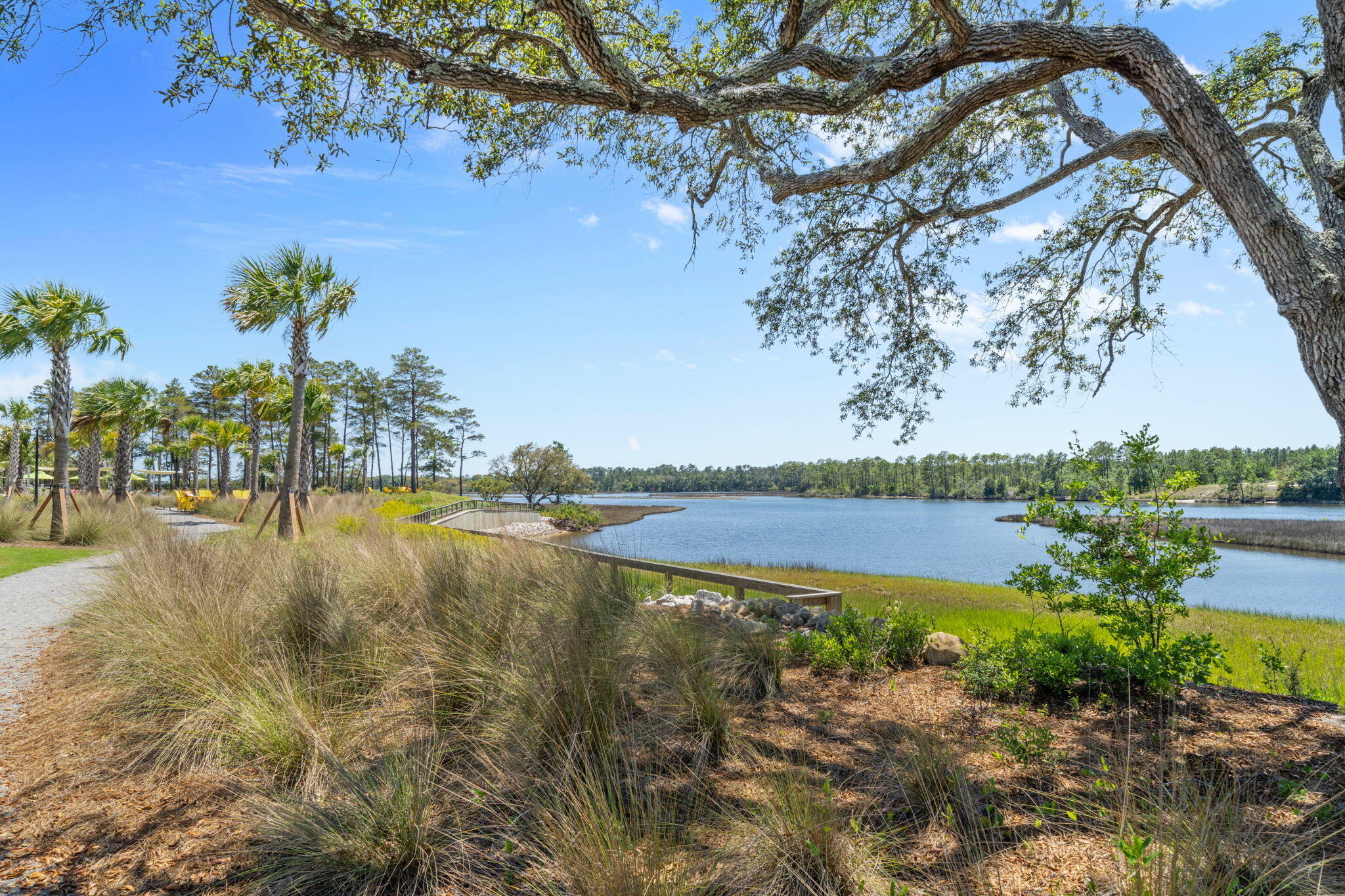 8688 Sand Dollar Drive