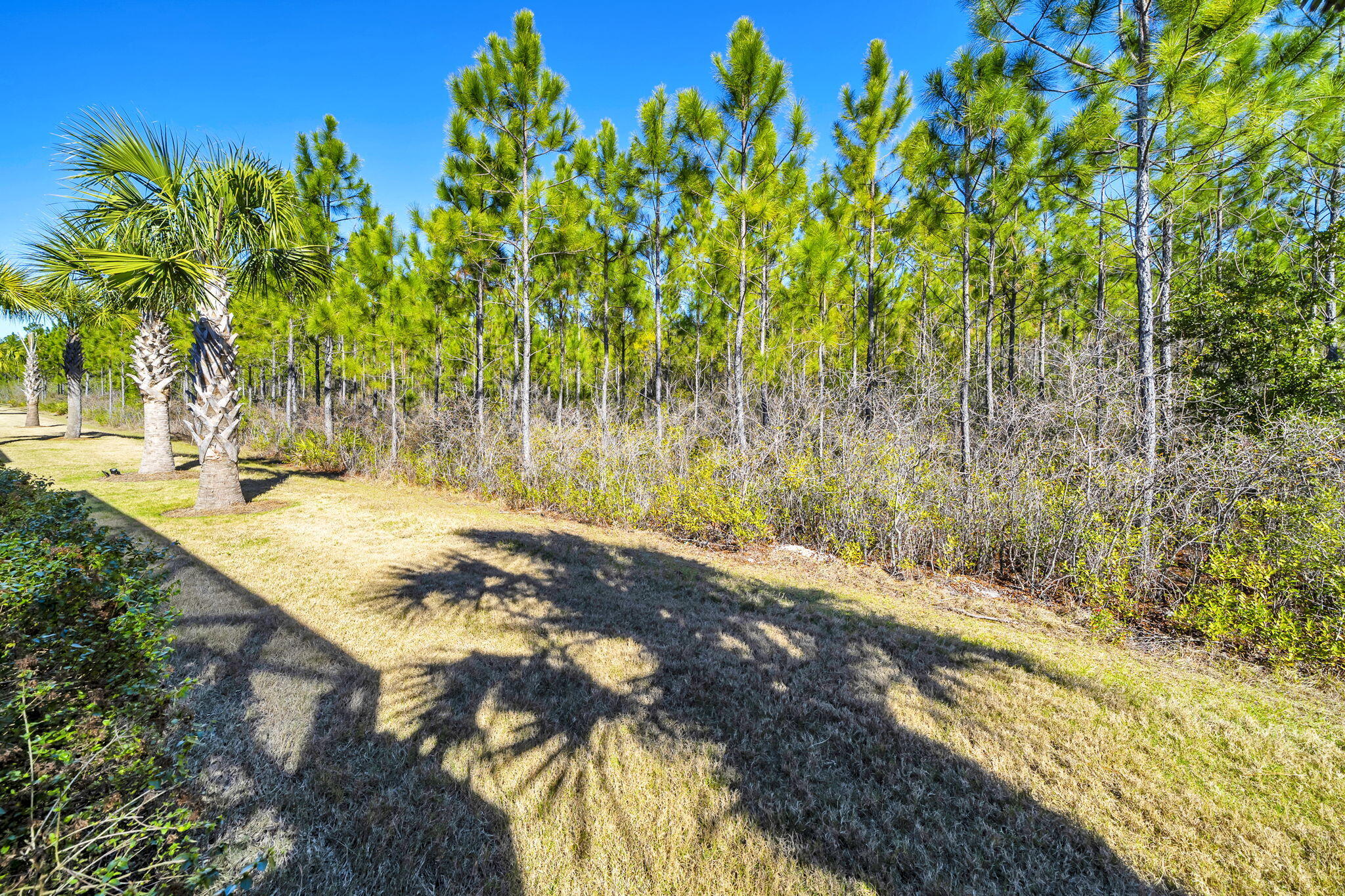 9317 Cool Breeze Drive