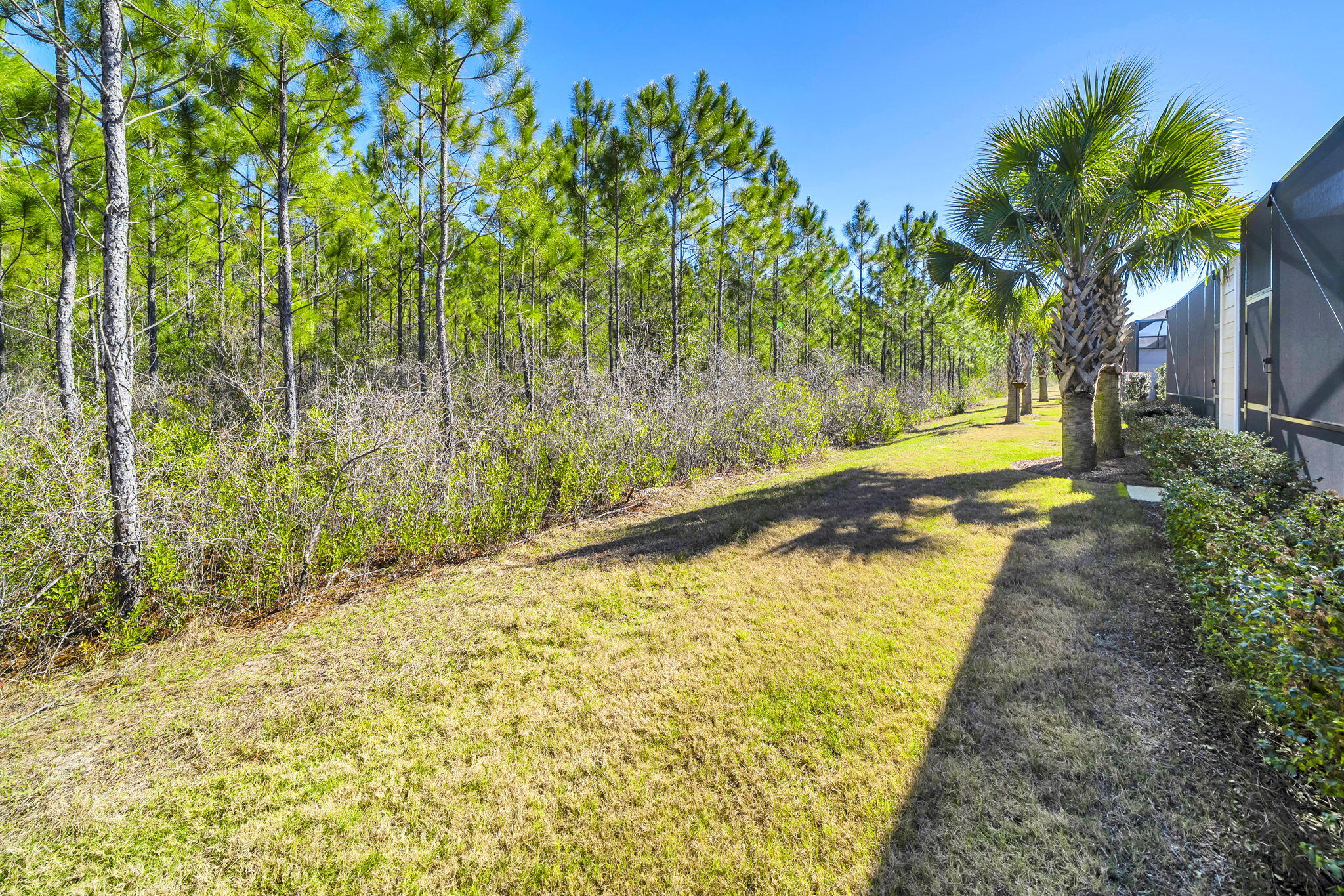 9317 Cool Breeze Drive