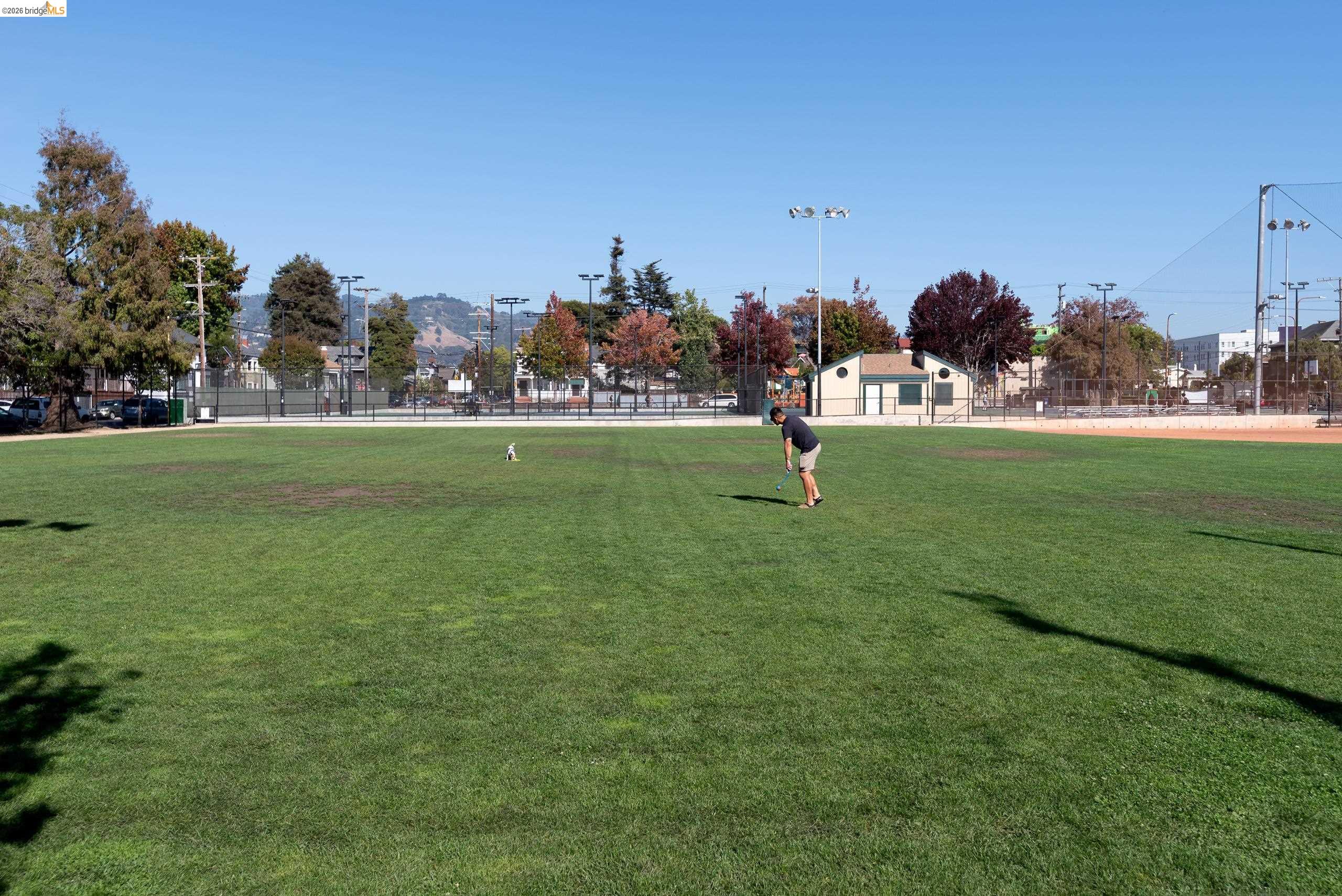 Grassy park field with a person practicing golf and fenced courts in the background.
