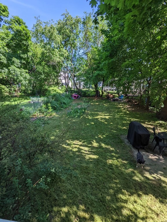 5 Bailey St # 1
