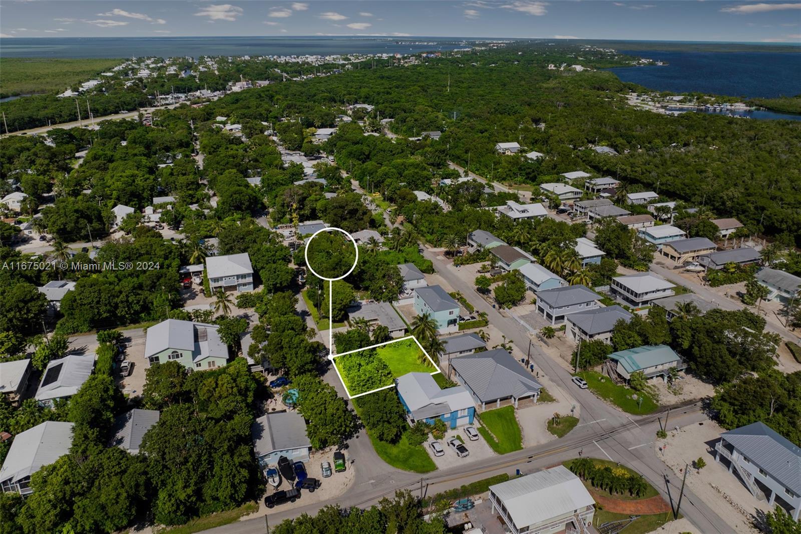 974 Oleander Rd
