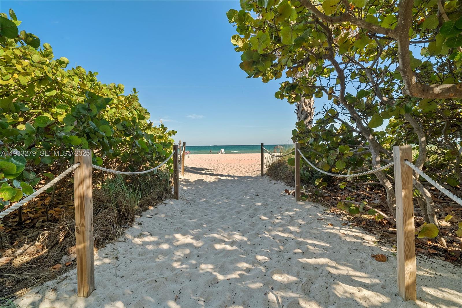 5055 Collins Ave # 11C