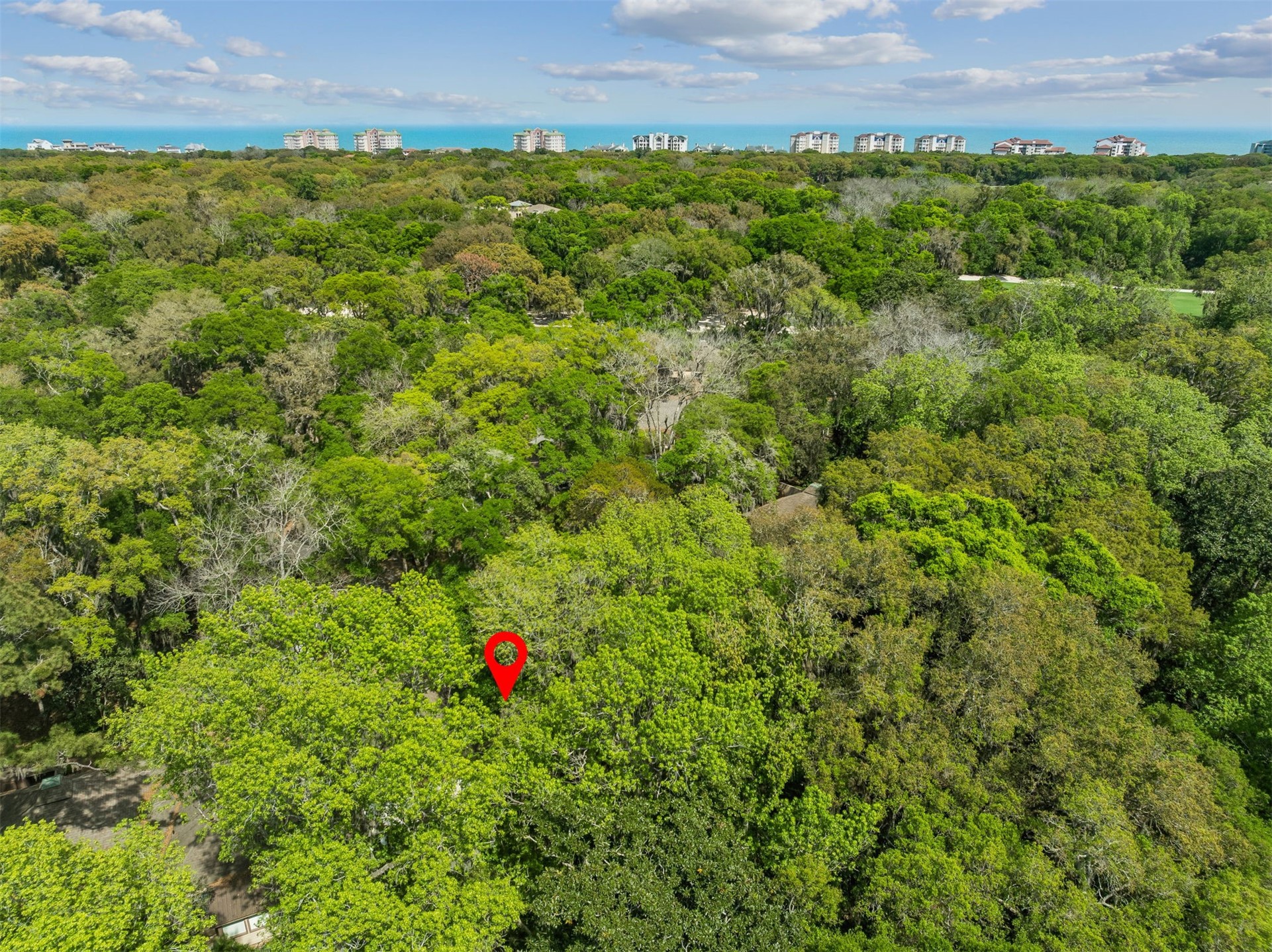 3205 SEA MARSH ROAD 3205