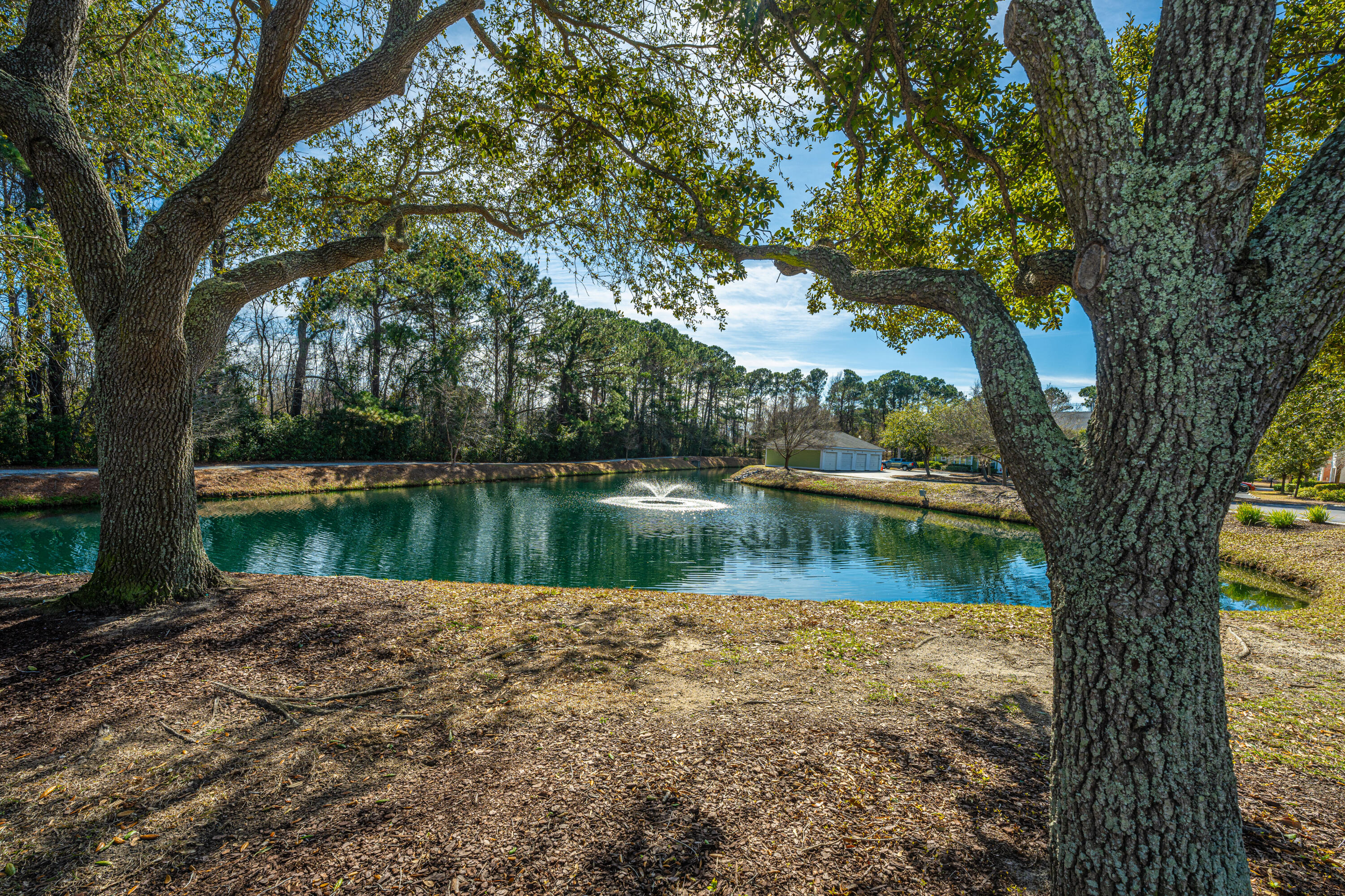 1371 Cassidy Court Court # A