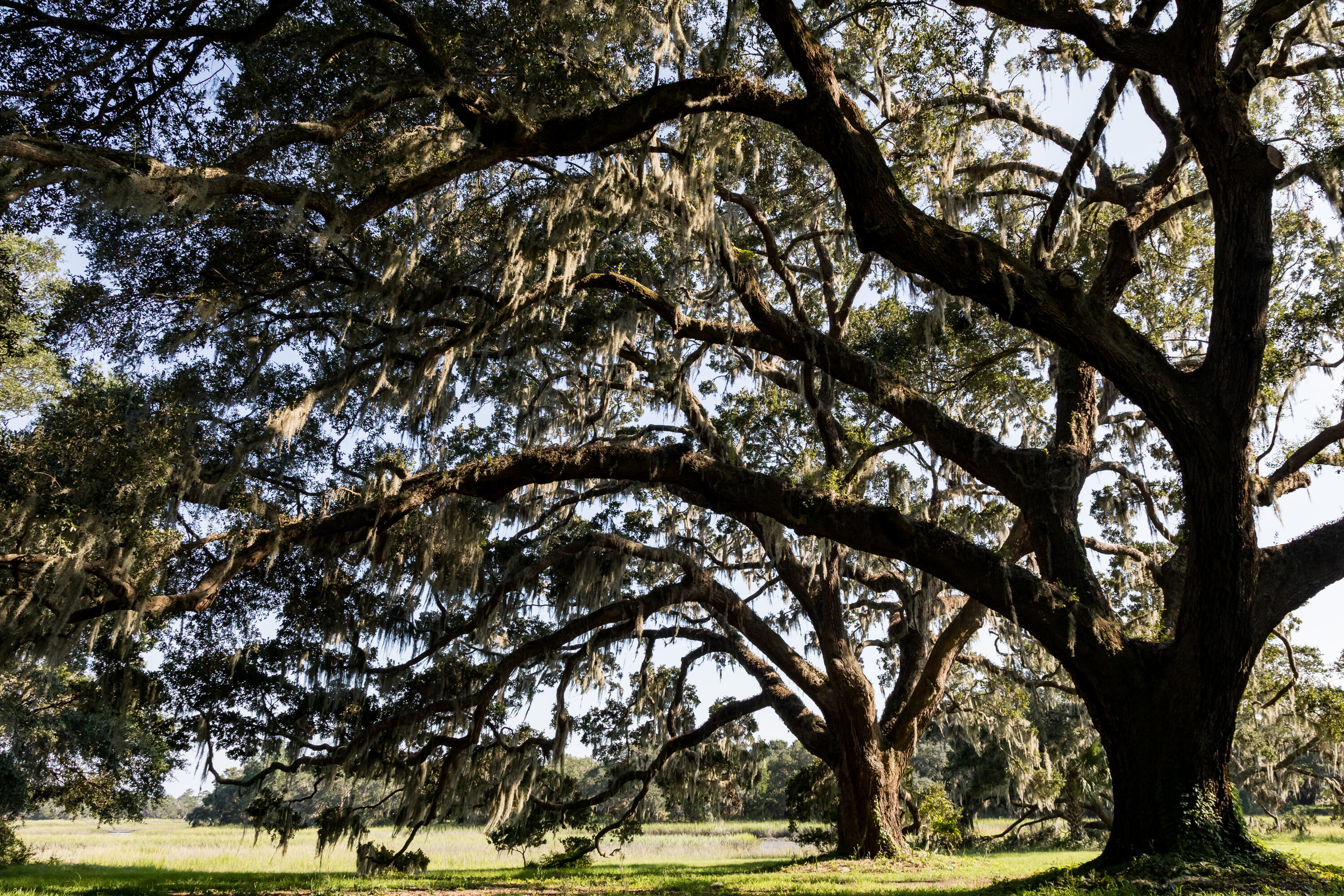 5789 Kiawah River Drive