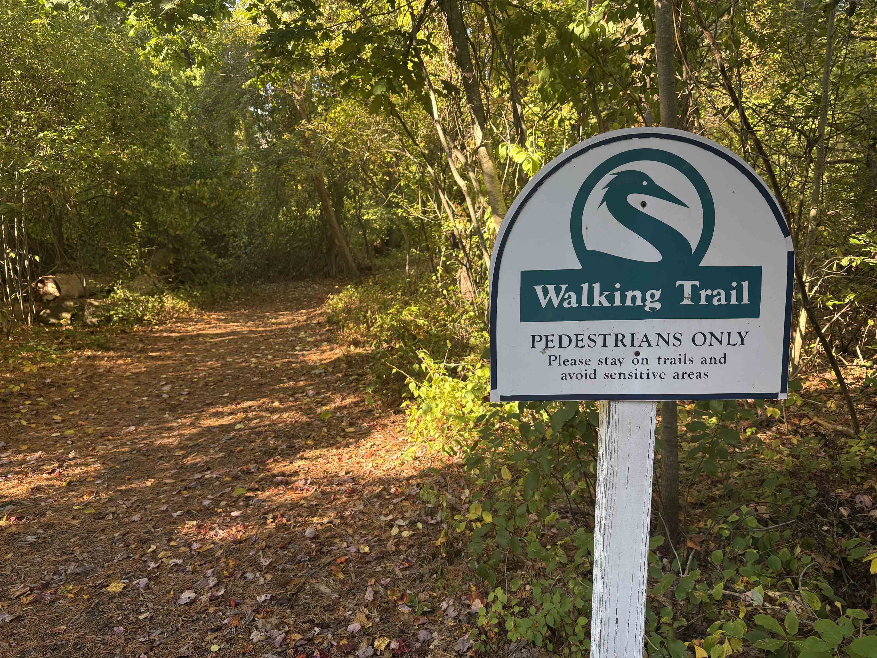 100 Shepards Cove Road Unit: F204