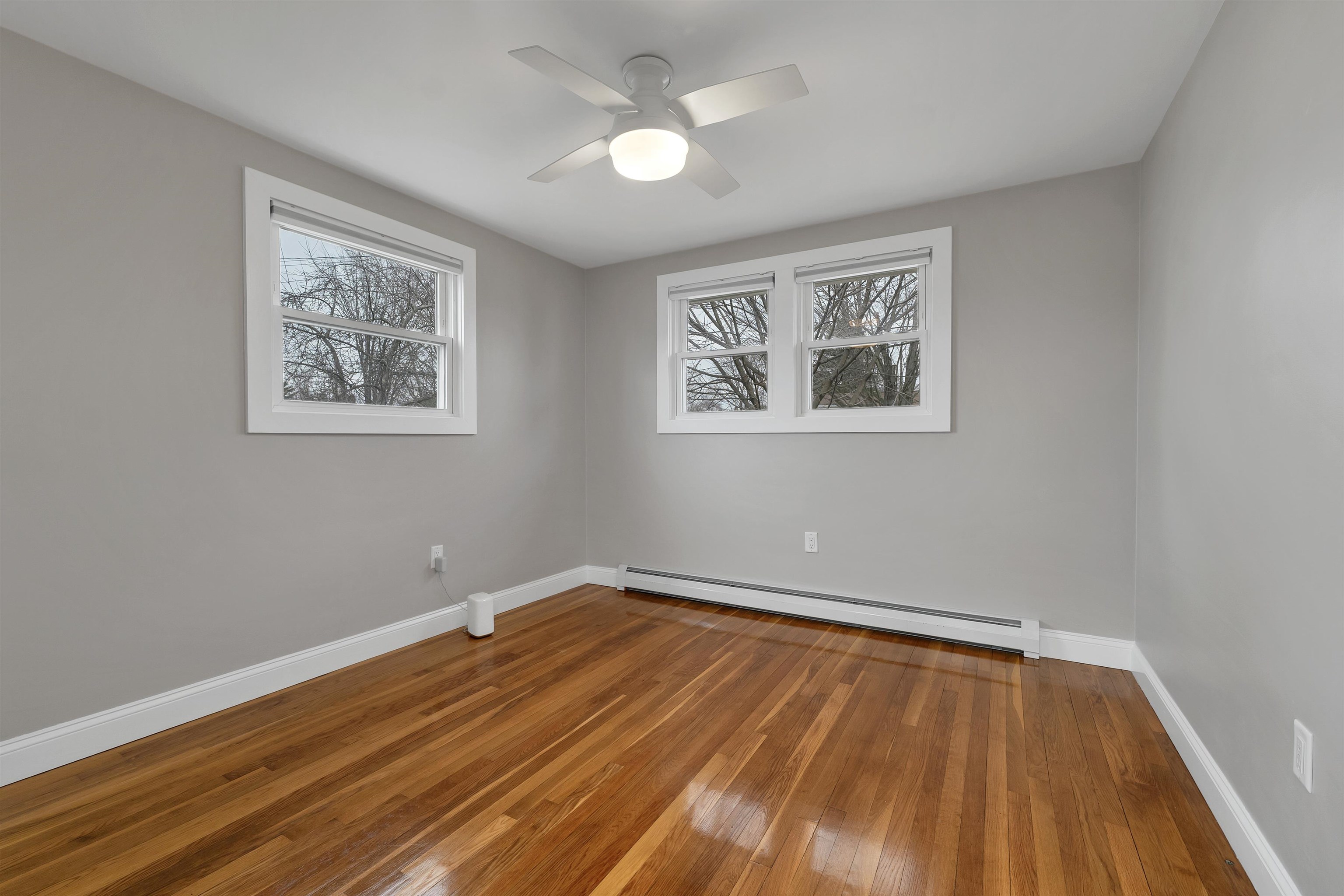 17 Winchester Street