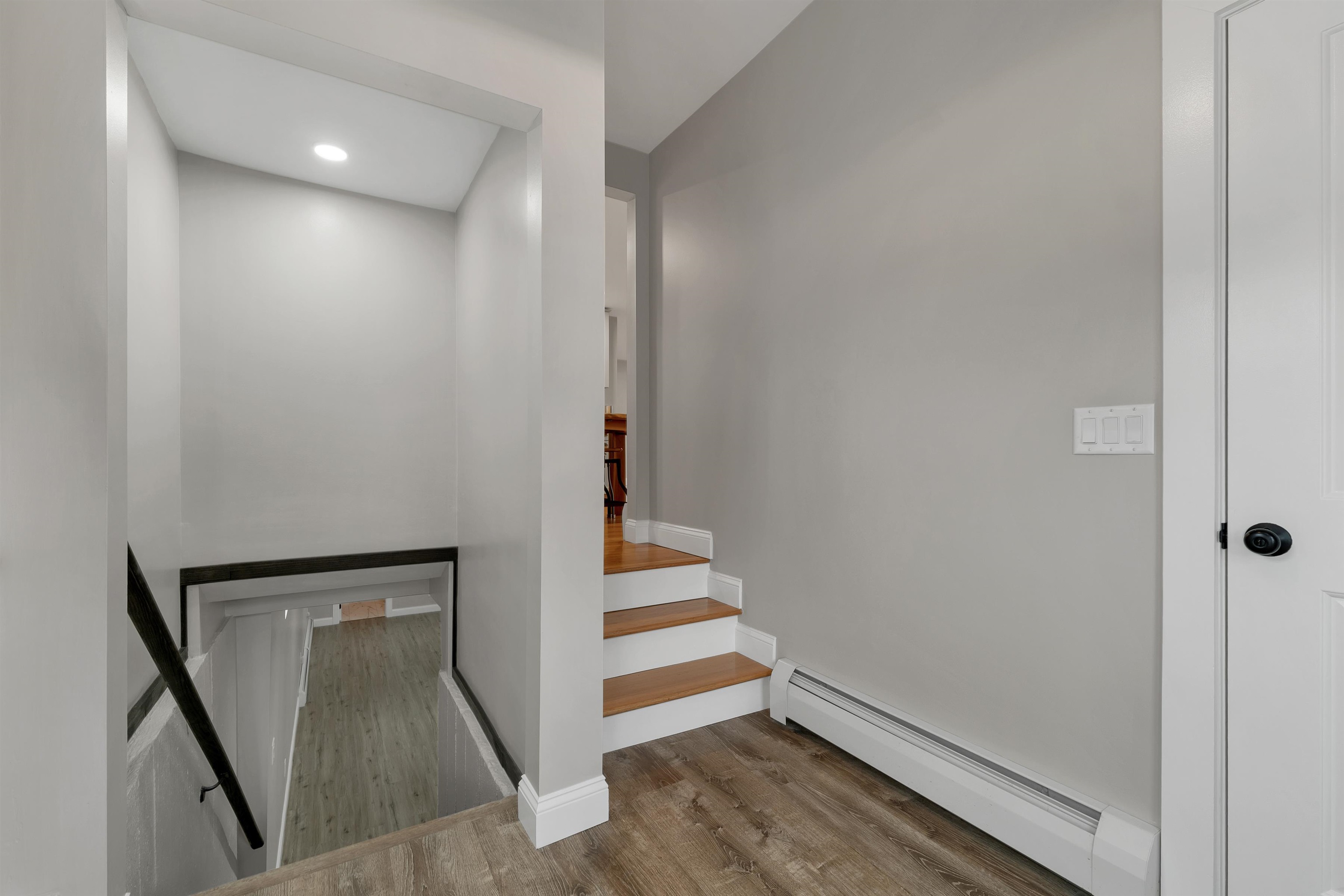 17 Winchester Street