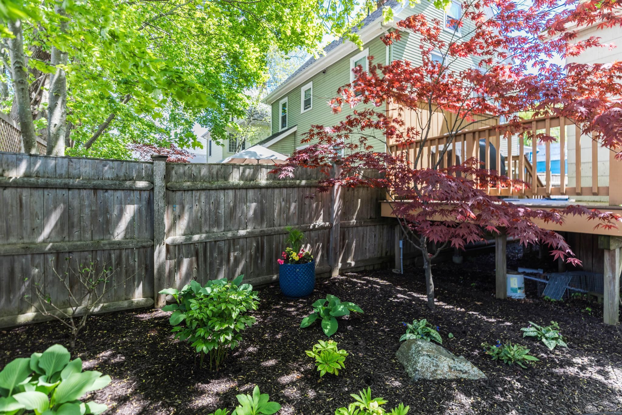 39 Chauncey Street
