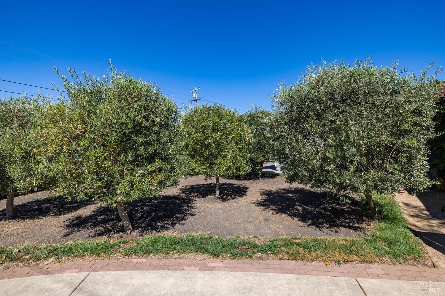 7482 Beverly Dr