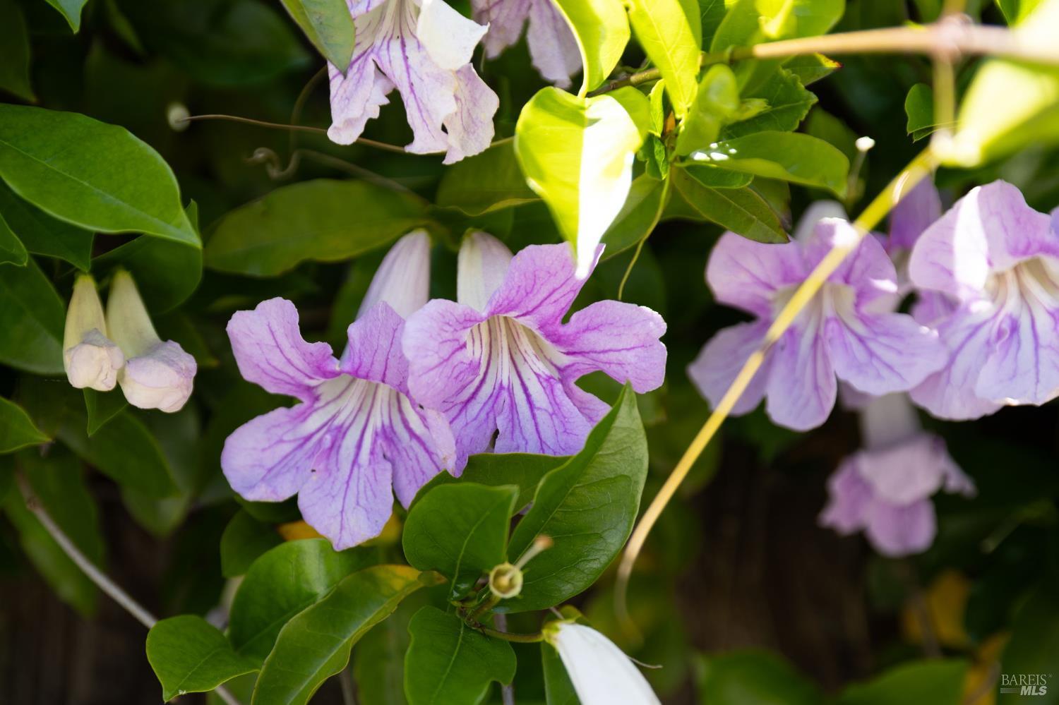 2331 Donna Maria Way