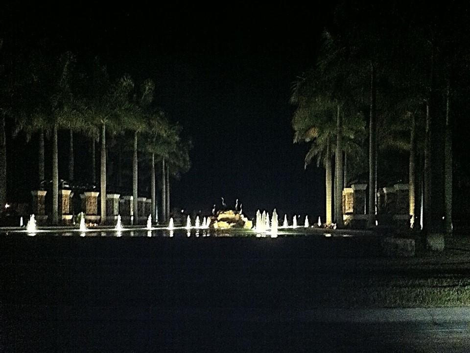 8186 NW 127th Ln 31-E