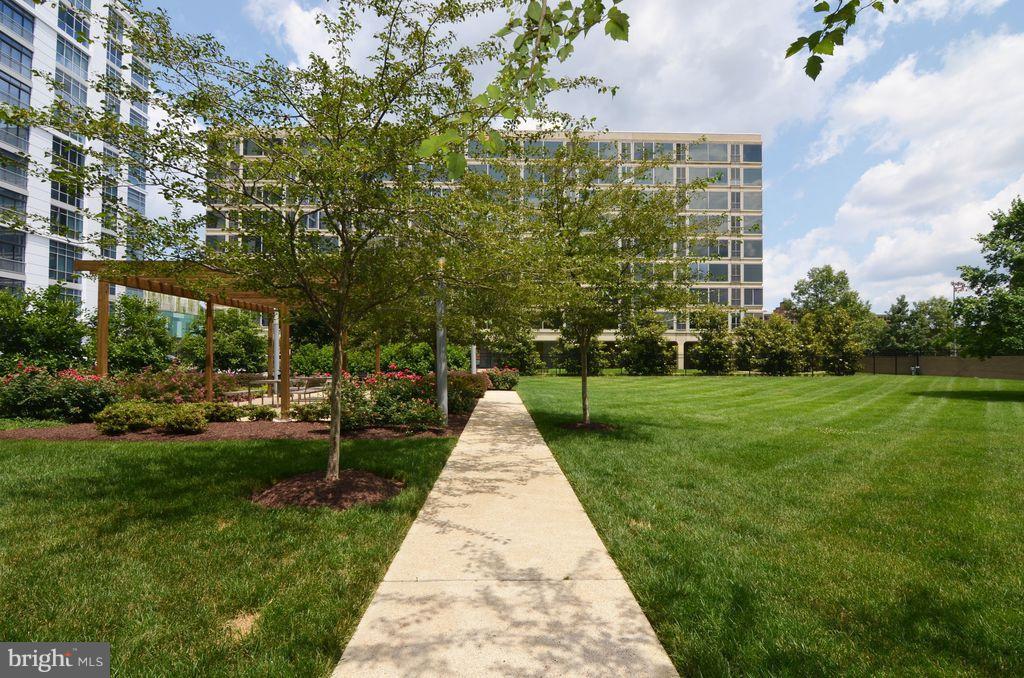1101 3RD STREET SW 305