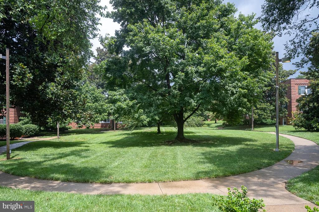 1721 N QUEENS LANE 1-104
