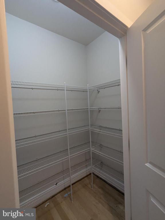 520 JOHN CARLYLE STREET 102