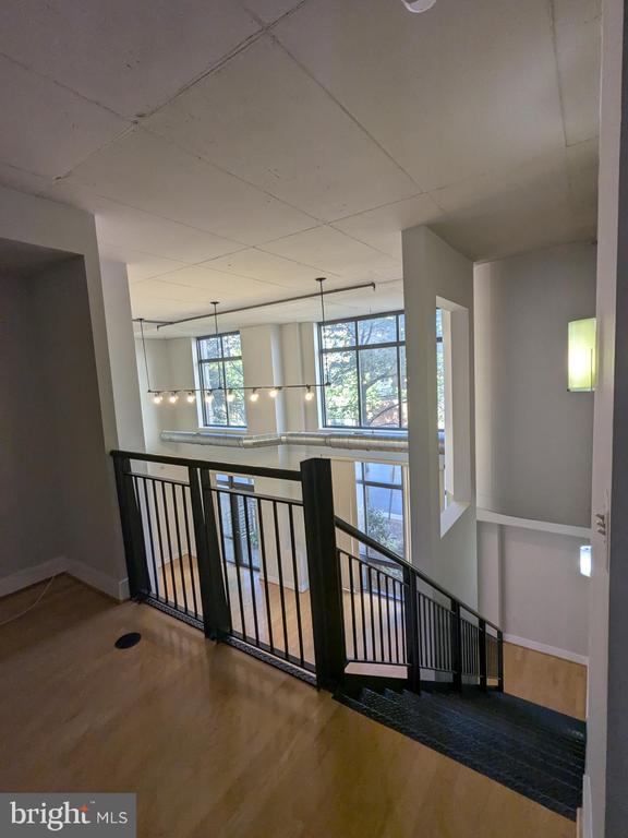 520 JOHN CARLYLE STREET 102