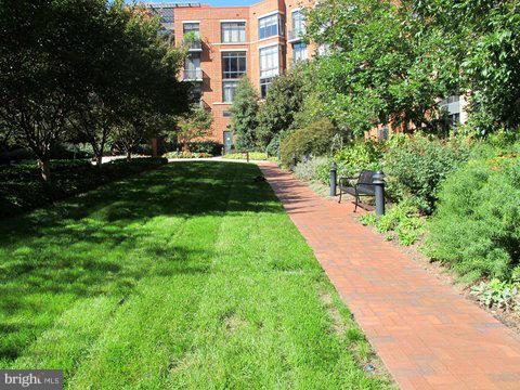 520 JOHN CARLYLE STREET 102