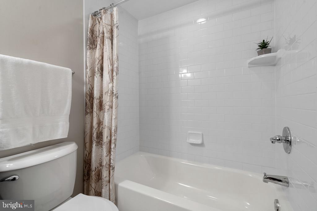 2811 OLD DOMINION BOULEVARD