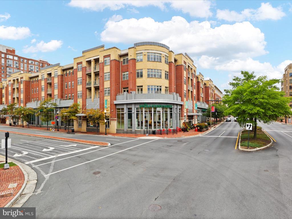 309 HOLLAND LANE 329