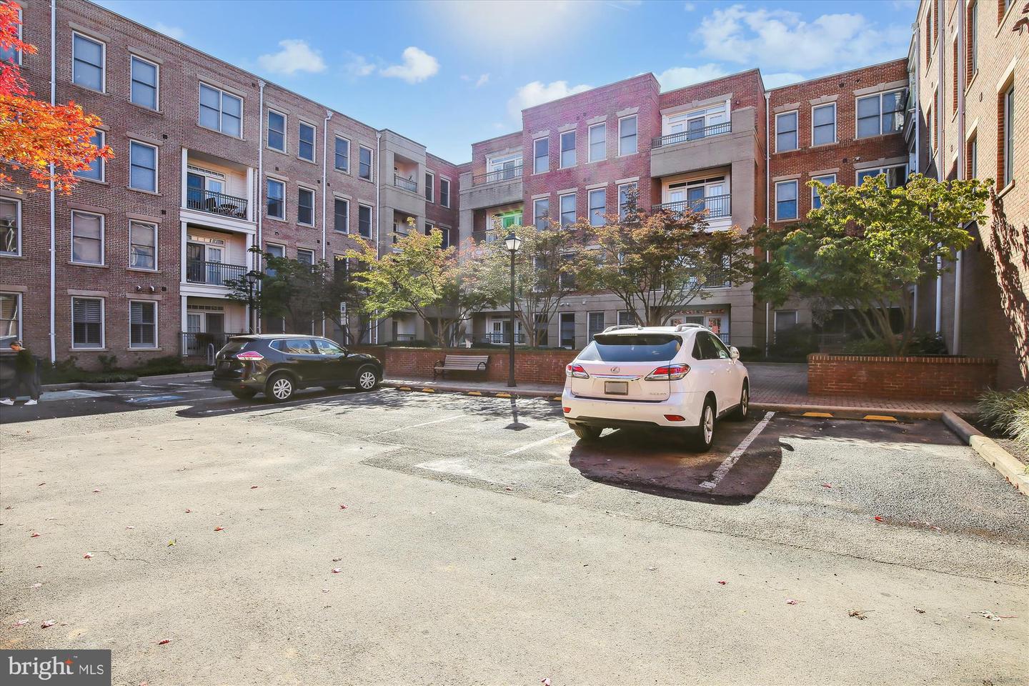 1115 CAMERON ST #205