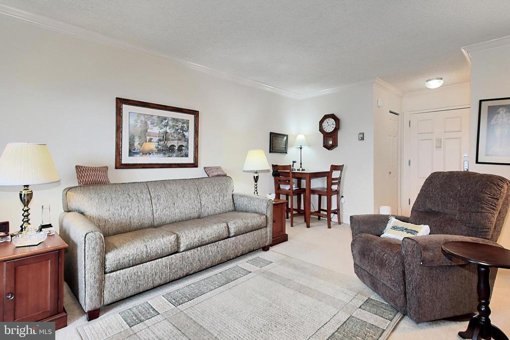 1225 MARTHA CUSTIS DRIVE 315