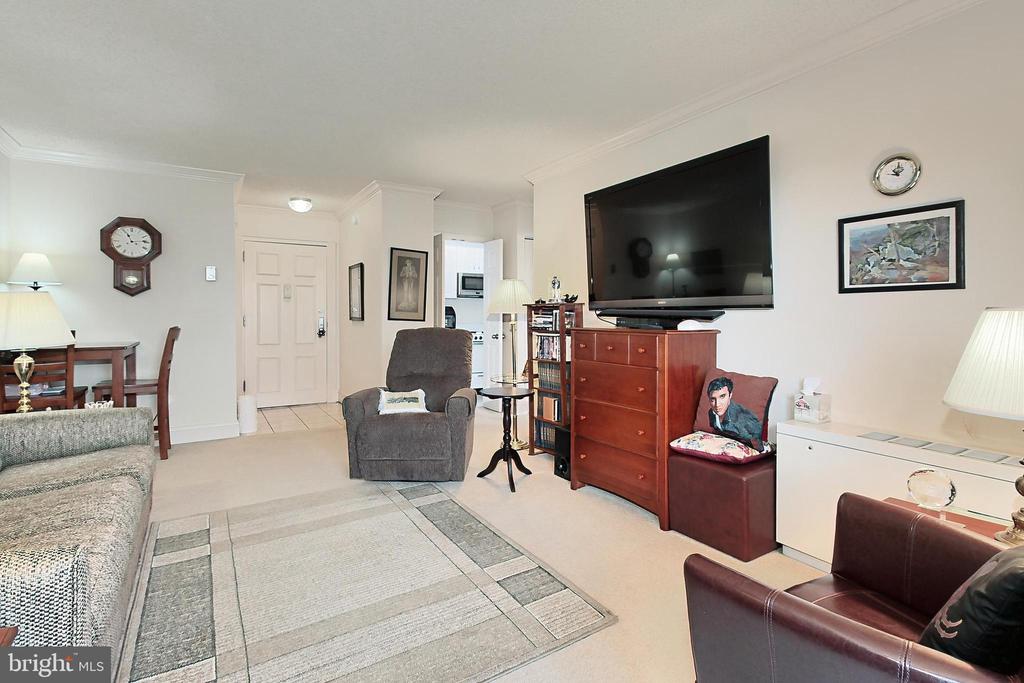 1225 MARTHA CUSTIS DRIVE 315