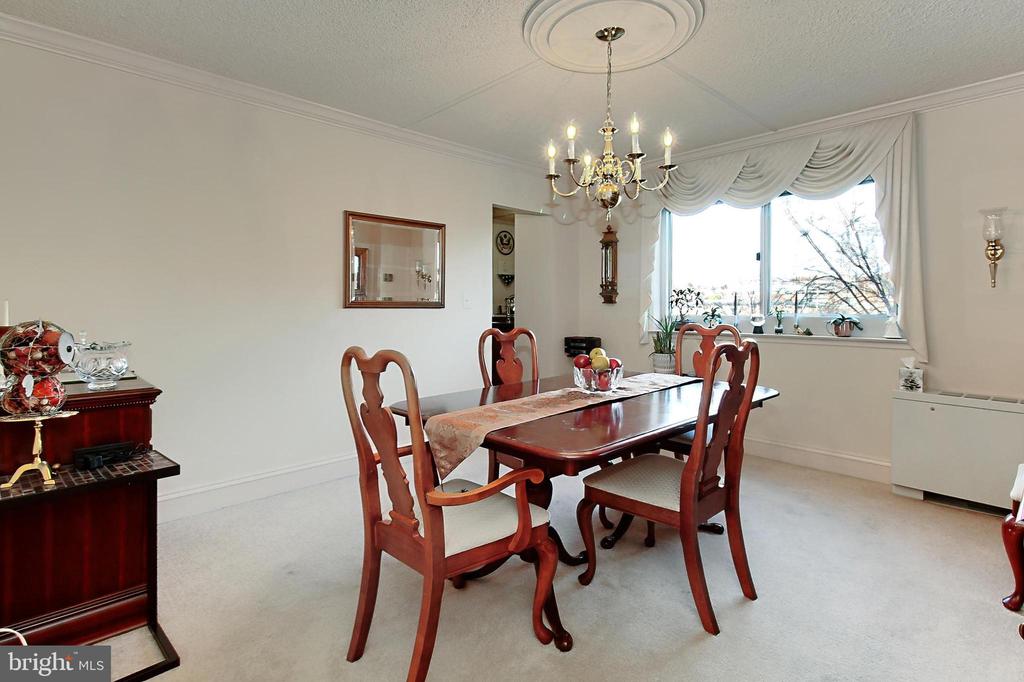 1225 MARTHA CUSTIS DRIVE 315