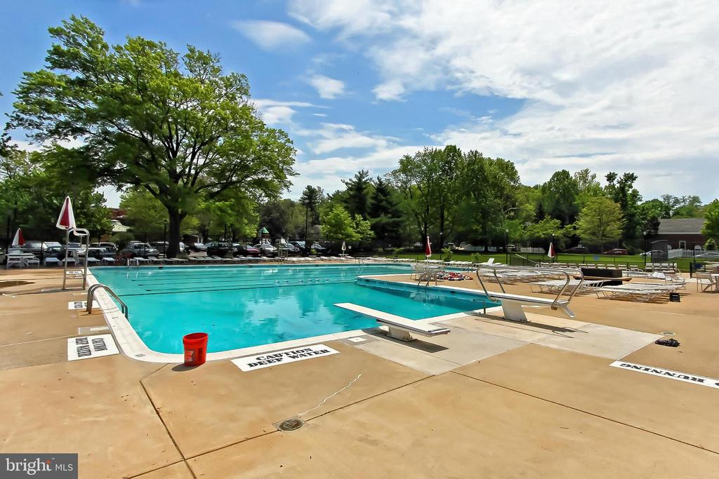 1225 MARTHA CUSTIS DRIVE 315
