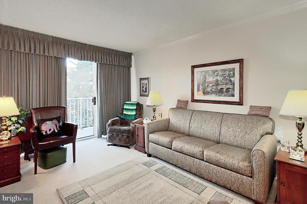 1225 MARTHA CUSTIS DRIVE 315