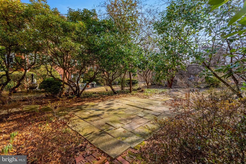 1538 MOUNT EAGLE PLACE