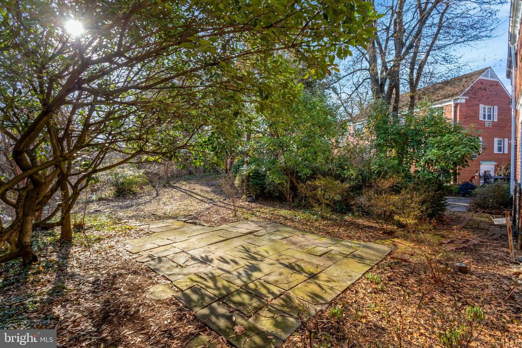 1538 MOUNT EAGLE PLACE