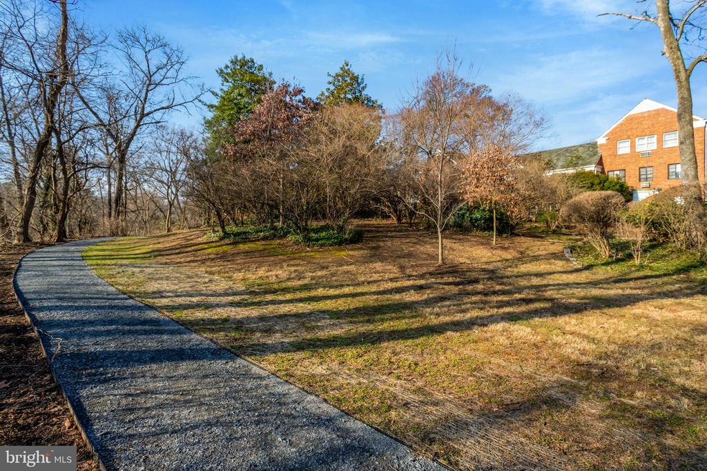 1538 MOUNT EAGLE PLACE
