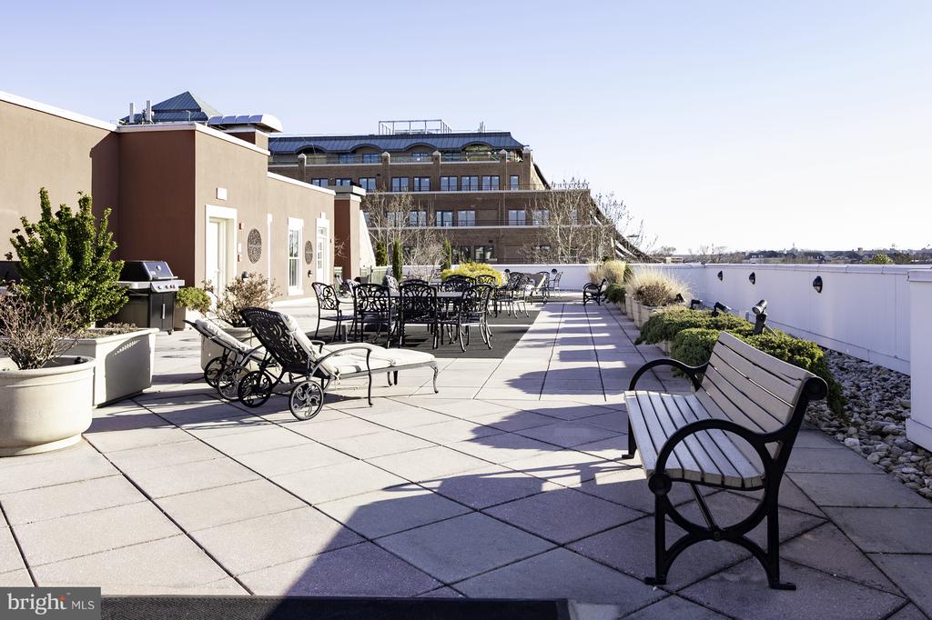 1115 CAMERON STREET 101