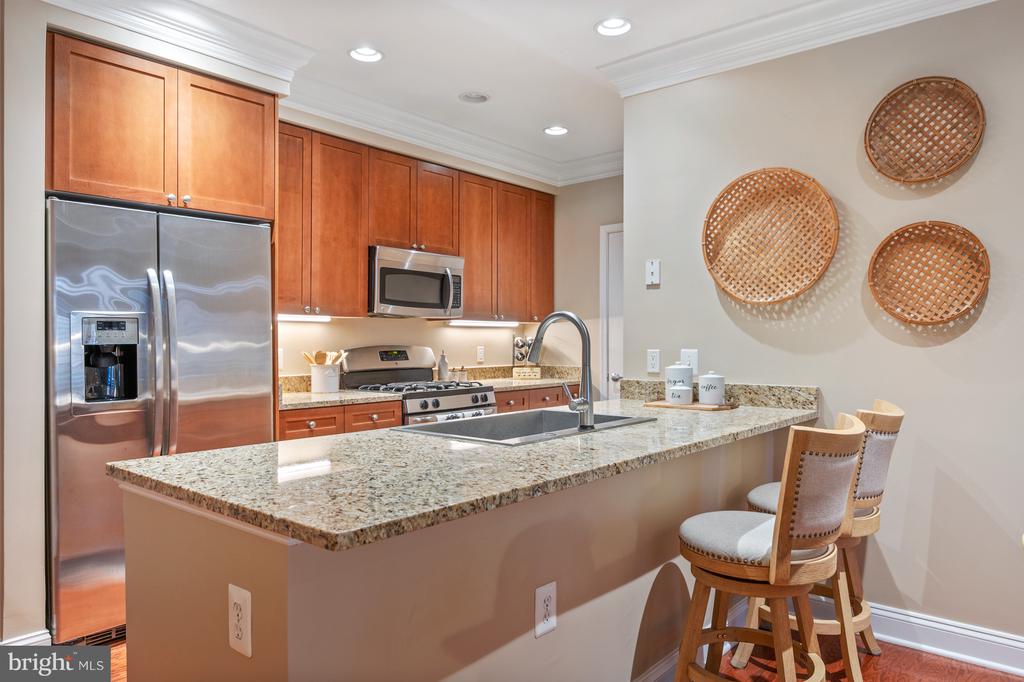 1115 CAMERON STREET 101
