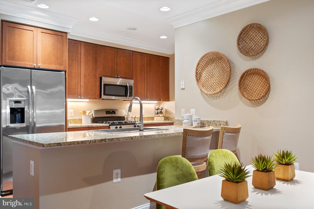 1115 CAMERON STREET 101