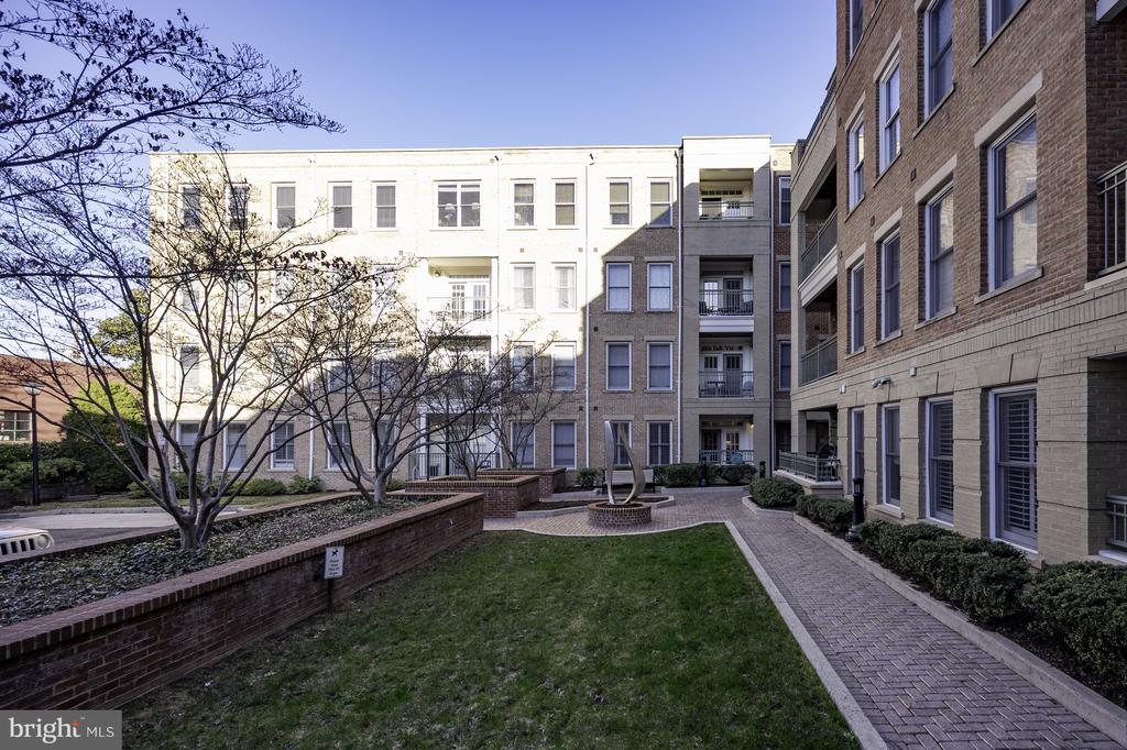 1115 CAMERON STREET 101