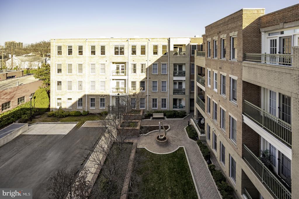 1115 CAMERON STREET 101