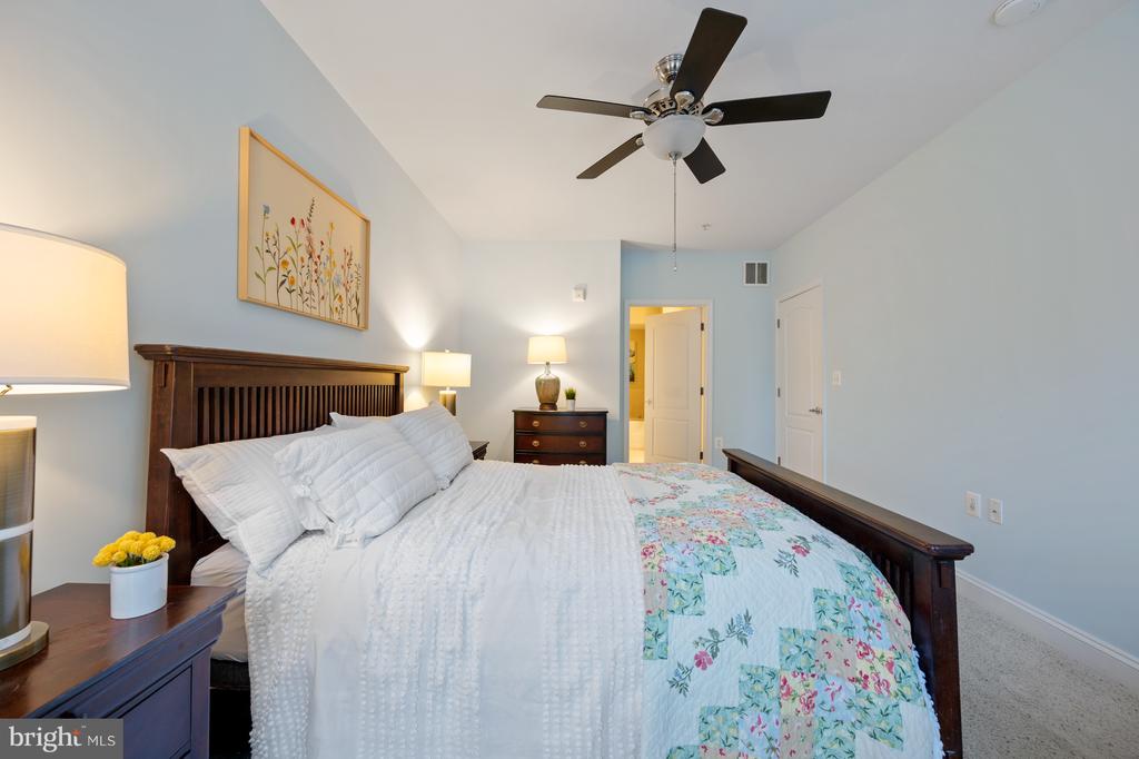 1115 CAMERON STREET 101