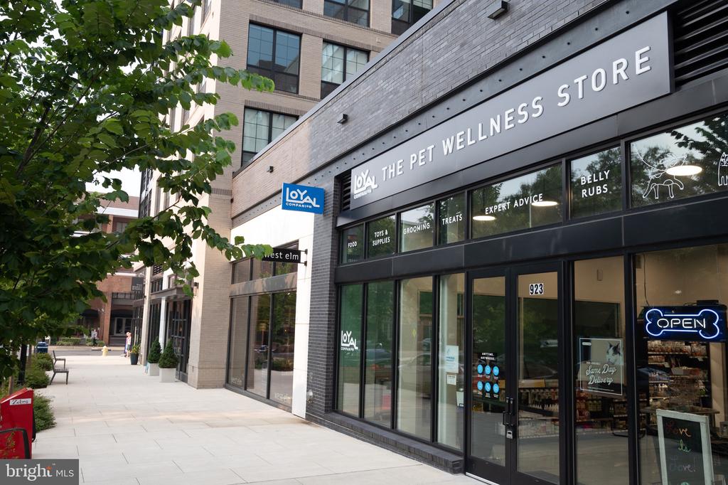 1023 N ROYAL STREET 104
