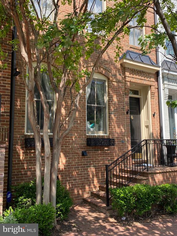 407 ORONOCO STREET