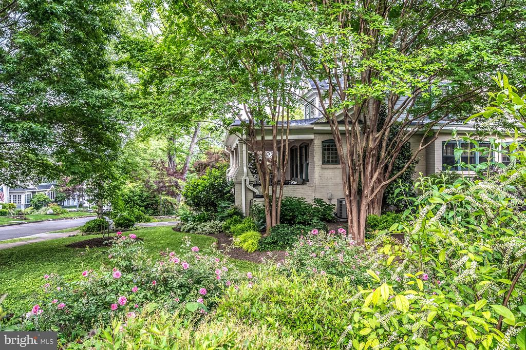 120 W MAPLE STREET